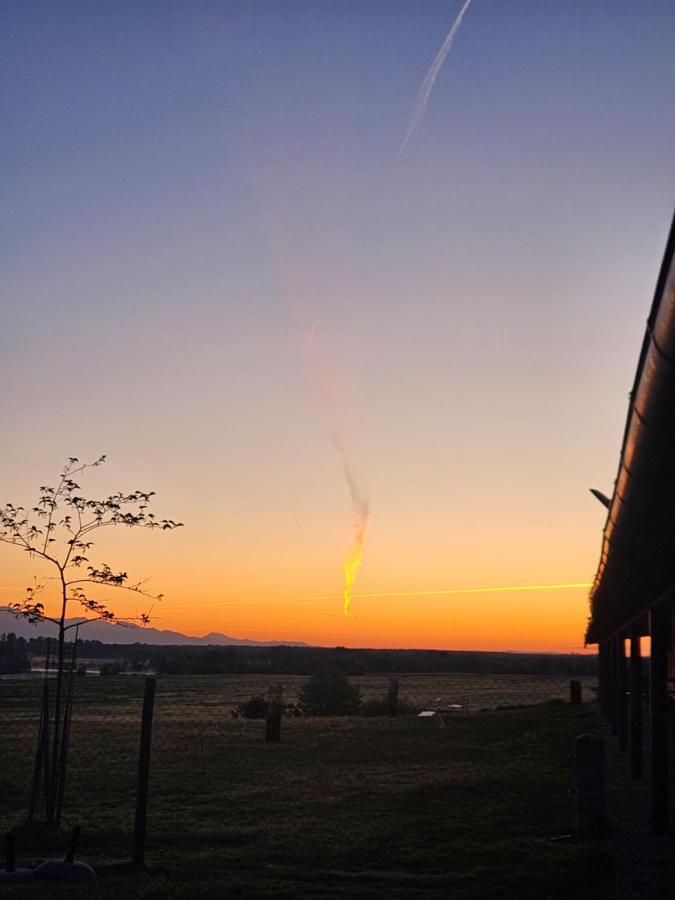 Hotel Rural Portilla De Monfraguee Toril  エクステリア 写真